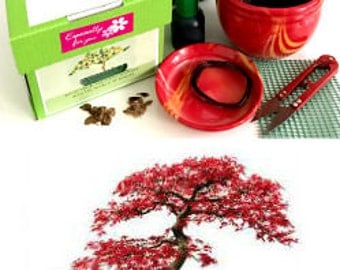 Exteriores y jardinería – Etsy ES