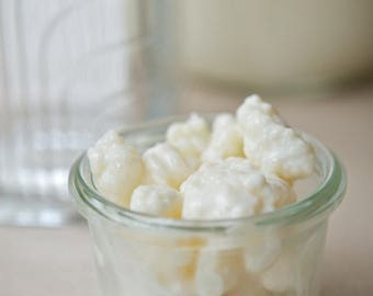 2 Tbsp LIVE FRESH milk kefir grains