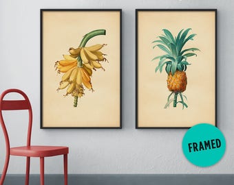 Botanical print set of 2 – Banana print, Pineapple print, Vintage botanical set, Framed botanical print, Framed art set, Framed print set