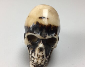 Brown Resin SKULL KNOB with cream detail - Home decor drawer pull
