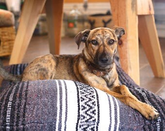 Black, Grey and White Handmade Machine Washable Pillow Style Dog Bed with an Authentic Mexican Blanket Cover