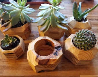 Reclaimed Succulent Planter