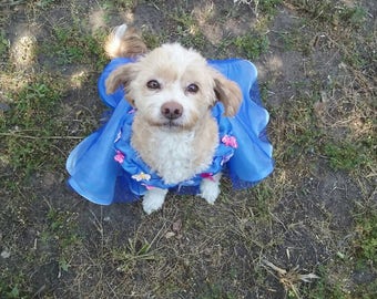 Cinderella premium dog dress, custom fitted