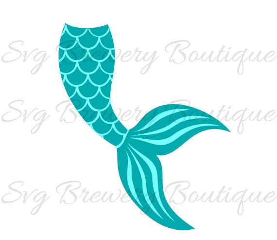 Download Mermaid tail, clam, shell SVG (layered), PNG, DXF for ...