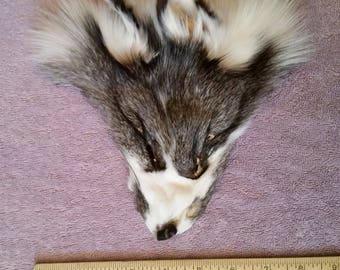 Marble Fox Face - ChippersTaxidermy