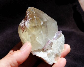 Citrine Quartz Crystal Point with Lepidolite