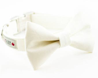 Solid Ivory Bowtie Dog Collar