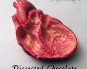 Chocolate Dissected Human Heart