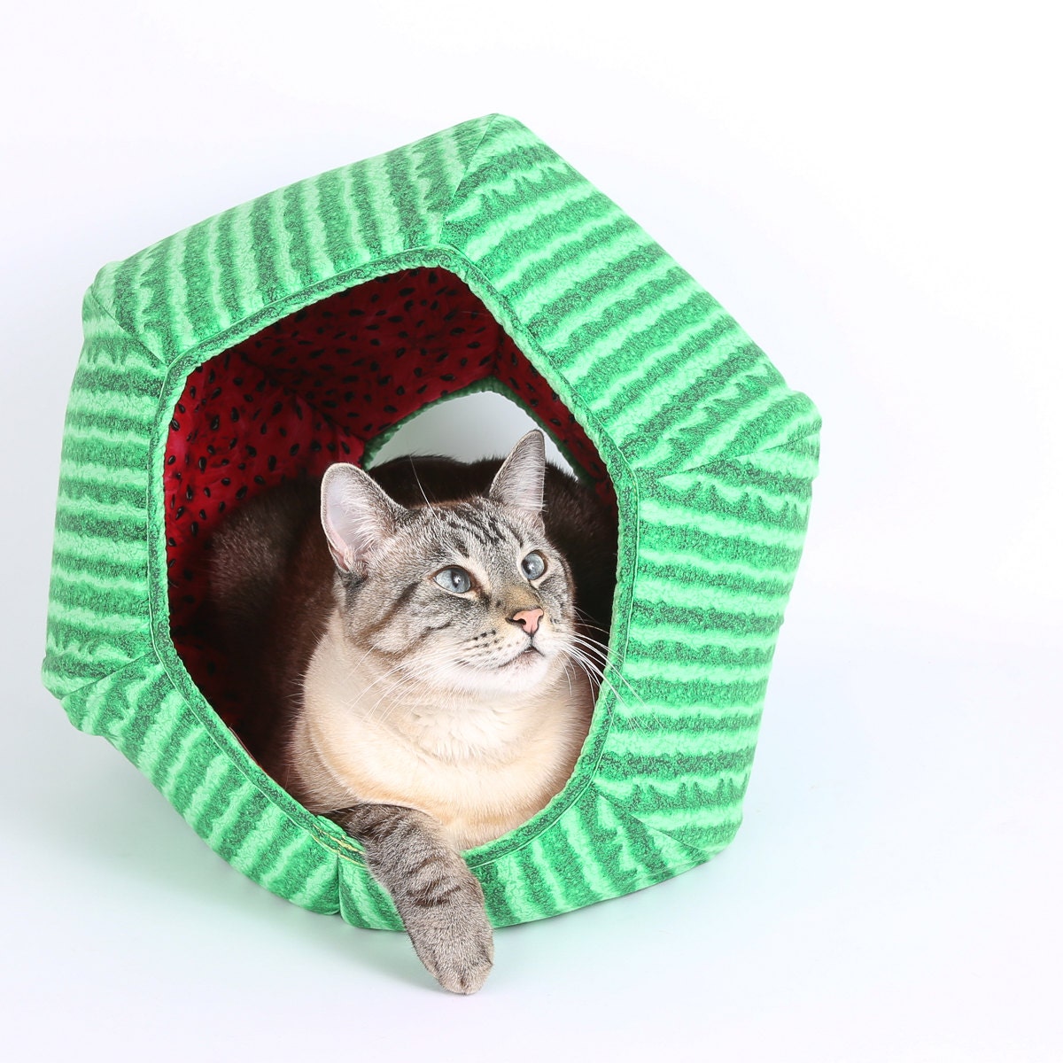 Watermelon Fabric Round Cat Bed Ball shaped pet bed that