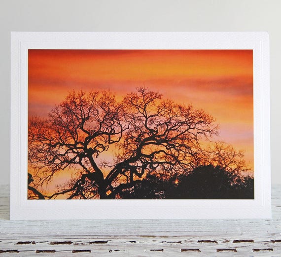 Tree at Sunset Photo Greeting Card, Evening Sky in Fiery Colors, Tree Silhouette, Fine Art Photography, Atmospheric All Occasion Card
