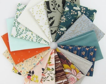 Design Star Finalist Bundle curated by Jenn, @jennrossotti - 16 Fat Quarters - 4 Yards Total