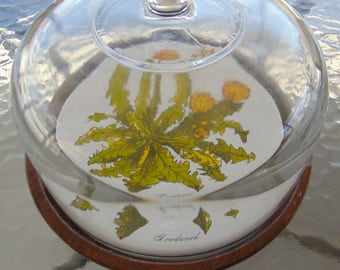 Goodwood Cheese board with Glass Dome Lid