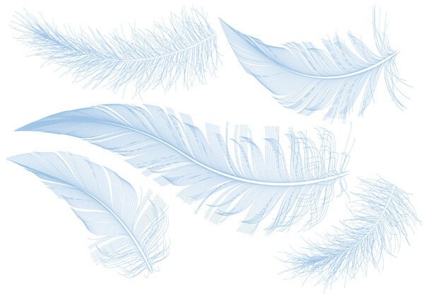 Blue bird feathers clipart clip art illustration drawing