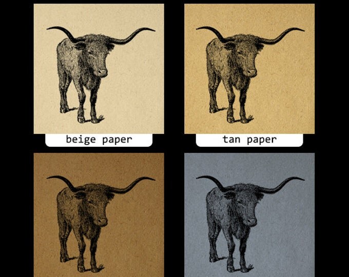 Texas Longhorn Bull Printable Bull Horns Graphic Western Farm Cow Steer Digital Image Antique Vintage Clip Art Jpg Png Eps HQ 300dpi No.3158