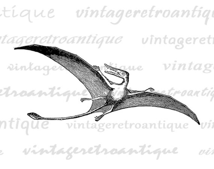 Printable Image Pterodactyl Flying Dinosaur Graphic Digital Download Antique Clip Art Jpg Png Eps HQ 300dpi No.2707