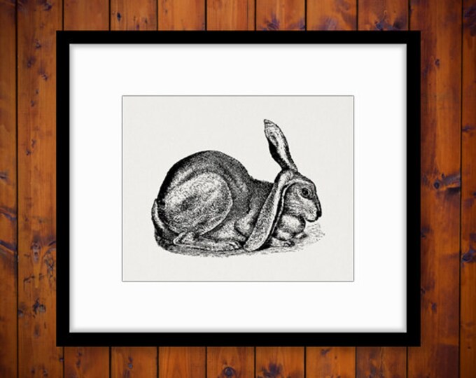 Digital Graphic Rabbit Bunny Printable Antique Easter Image Spring Download Vintage Clip Art Jpg Png Eps HQ 300dpi No.121