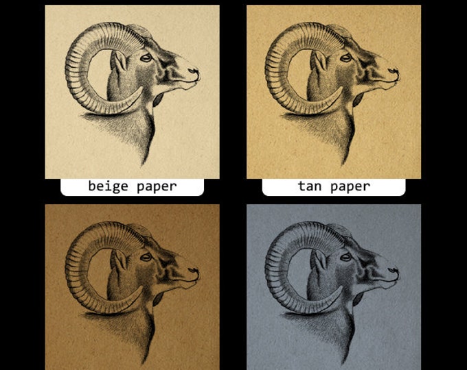 Digital Graphic Goat Download Ram Horns Animal Printable Image Vintage Clip Art Jpg Png Eps HQ 300dpi No.470