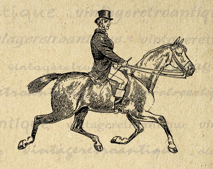 Digital Antique Horseback Rider Graphic Download Horse Riding Printable Image Vintage Clip Art Jpg Png Eps HQ 300dpi No.4121