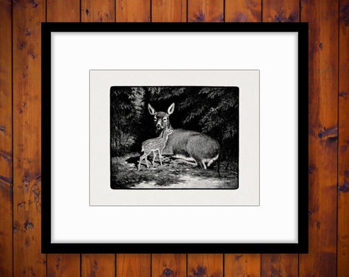 Printable Graphic Deer with Fawn Digital Antique Image Download Vintage Clip Art Jpg Png Eps HQ 300dpi No.765