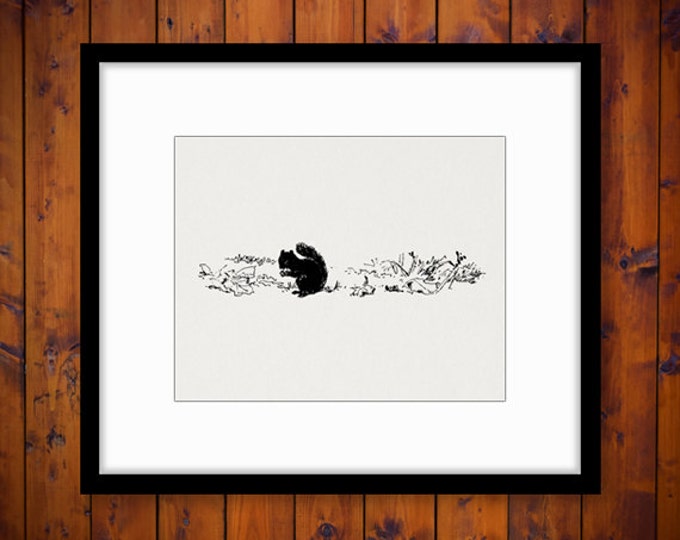 Digital Graphic Squirrel Silhouette Image Download Printable Vintage Clip Art Jpg Png Eps HQ 300dpi No.561