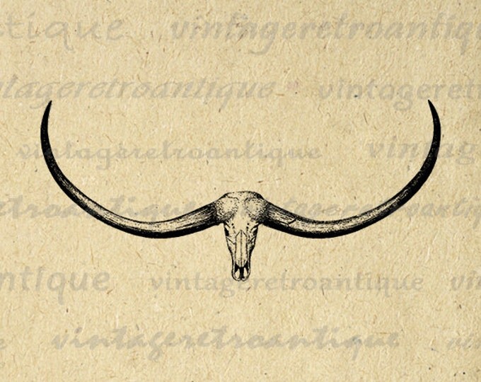 Printable Image Western Ox Horns Digital Skull Graphic Download Vintage Clip Art Jpg Png Eps HQ 300dpi No.553