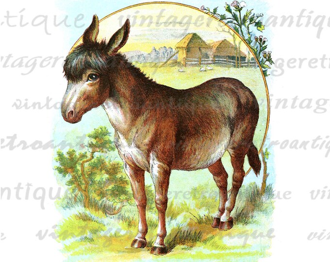 Printable Digital Donkey Download Color Illustration Image Classic Graphic Antique Clip Art HQ 300dpi No.2029