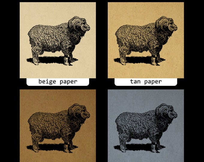 Digital Graphic Merino Sheep Image Illustration Printable Download Vintage Clip Art Jpg Png Eps HQ 300dpi No.3143