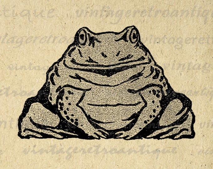 Digital Printable Antique Frog Image Toad Graphic Illustration Download Vintage Clip Art Jpg Png Eps HQ 300dpi No.314