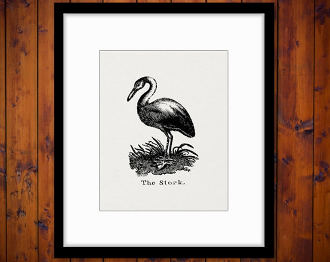 Printable Antique Stork Illustration Graphic Download Bird Digital Image Vintage Clip Art Jpg Png Eps HQ 300dpi No.932