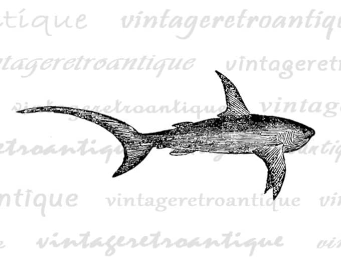 Swimming Shark Printable Digital Image Download Graphic Antique Clip Art Jpg Png Eps HQ 300dpi No.578