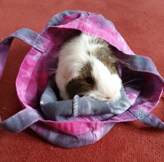 Tie Dye Guinea Pig Carrier Tie Dye Canvas Tote Bag Hand