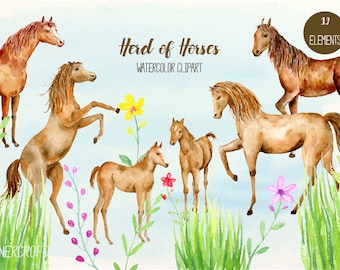 Horse Clip art, herd of horses, watercolor horse, horse clipart, brown horses, foals, herd of horses, horse family for instant download