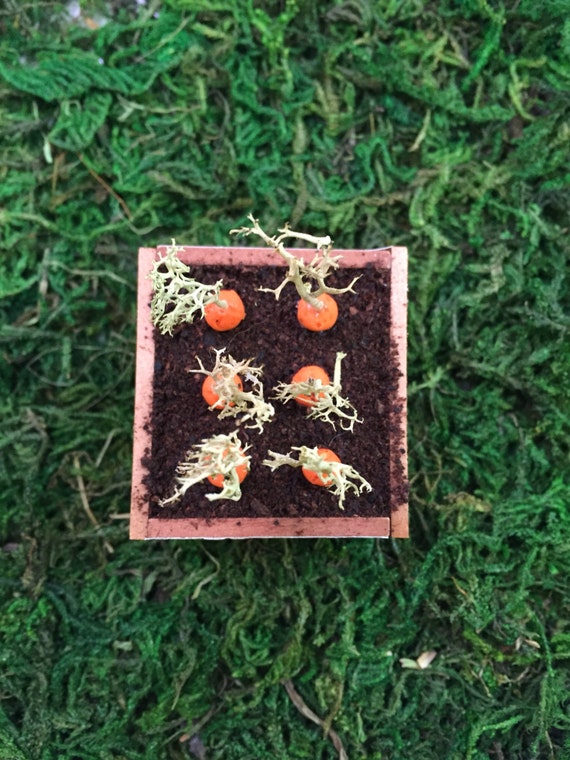 Miniature Dollhouse Carrots in Flat Crate One Inch Scale