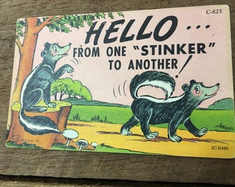 Kitschy Skunk Vintage Postcard- Hello from one "stinker" to another!