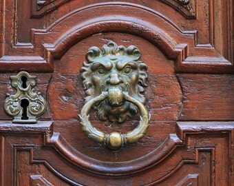 Paris France, wooden door, door knocker, lion door knocker, key hole, brass door knocker, oak door, french oak, Paris home decor, 16x24