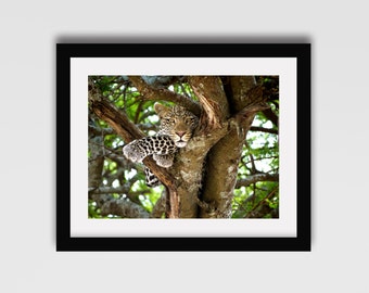 Animal Print Wall Art photography prints | etsy Animal Print Wall Art photography prints | etsy