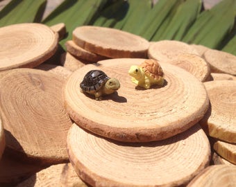 Miniature turtles fairy garden supply woodland garden set of 5