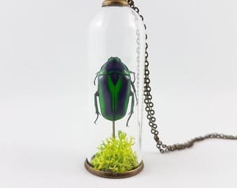 Scarab Beetle Terrarium Necklace,Specimen Jewelry,Insect Specimen,Insect Necklace,Terrarium Jewelry,Scientific Gift,Jewel Beetle,Entomology