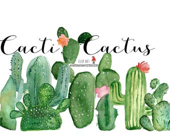 Cactus clip art, hand painted clip art, summer clip art, botanical clip art, plant clip art, cacti clip art, 84 PNG files (5262)