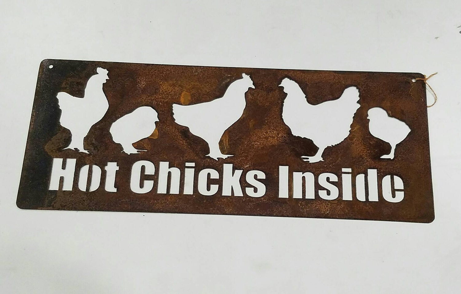 rustic metal chicken coop sign -- hot chicks inside