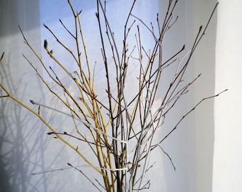 Tree branch centerpiece wedding centerpiece white gold natural colors set of 12 birch twigs decorative branches wood sticks modern decor