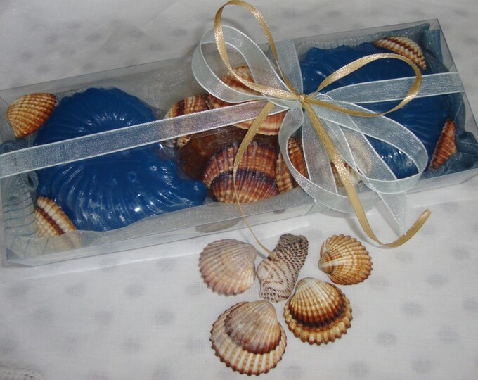Soap Shells and Natural Sea Shells, Beach Scented Soap, Minimal Style Gift, Exclusive Ocean Orange Glycerin Nautical Soaps, Fathers Day Gift