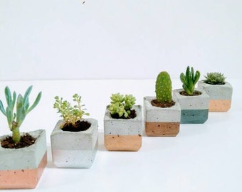 Copper Home Decor copper home decor accessories Trio Of Metallic Enamel Dipped Mini Concrete Succulent Planters Copper Home Decor seattle skyline living room with suspended copper dome Trio Of Metallic Enamel Dipped Mini Concrete Succulent Planters
