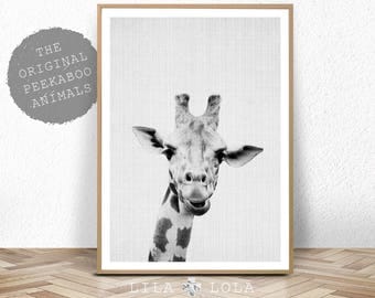 Giraffe Print, Safari Nursery Wall Art Decor, Large Printable Kids Room Poster, Digital Download, Giraffe Photo, Baby Shower