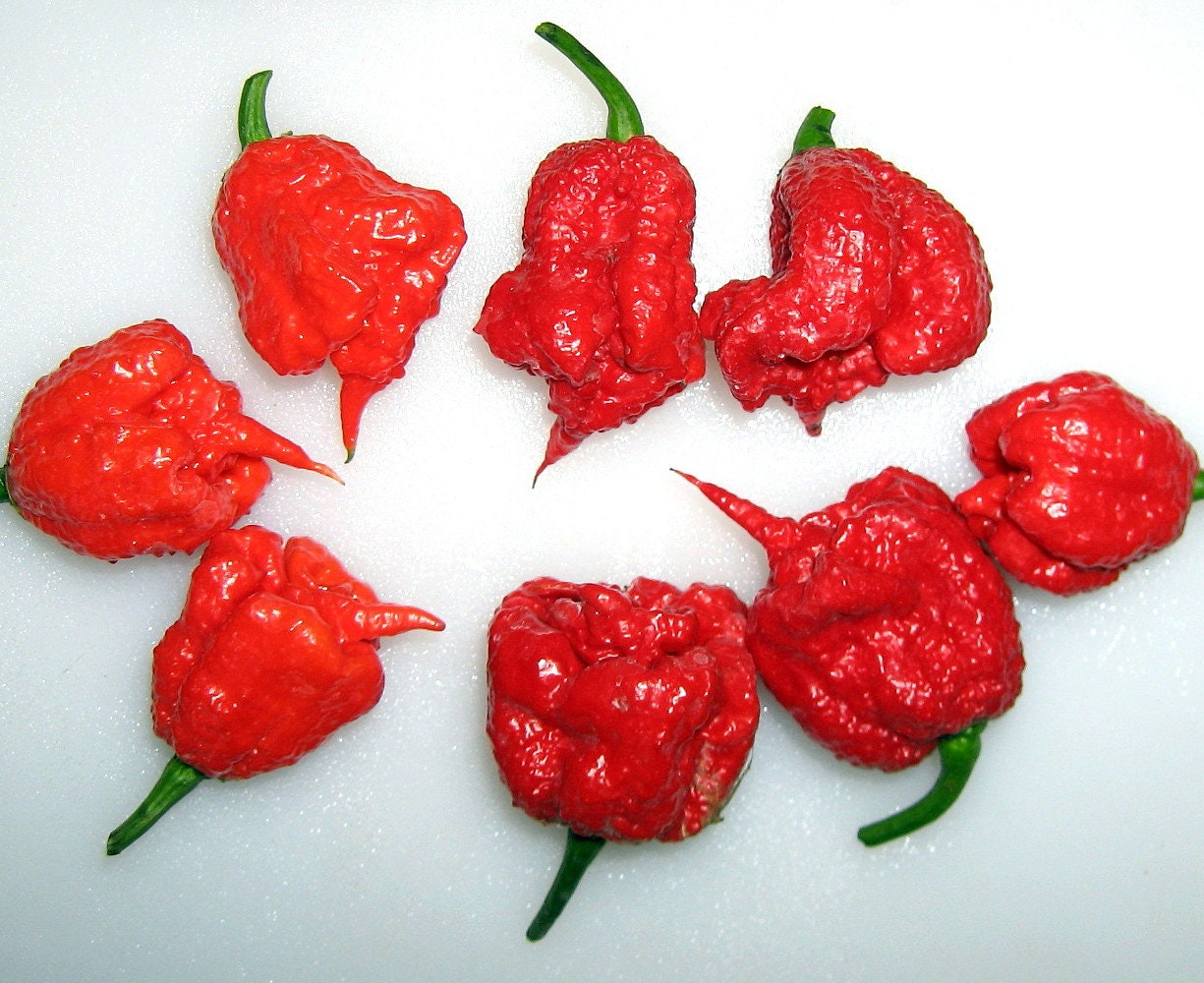 red reaper pepper