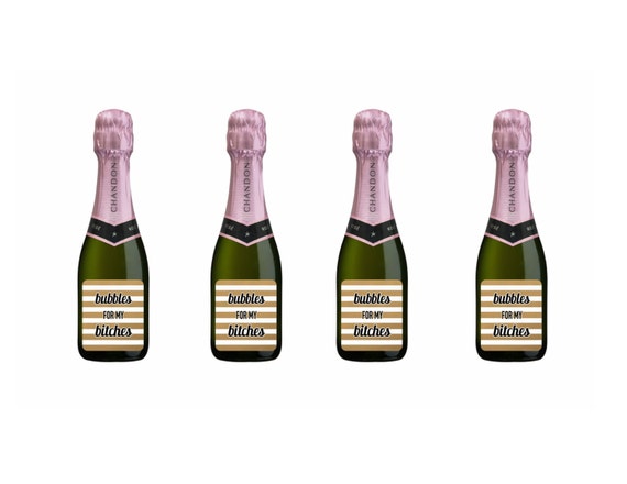 4 pack mini champagne bottles