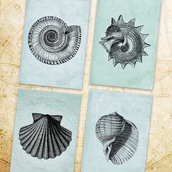 Sea Shells printable Cards Printable Download Digital