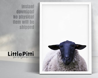 Sheep print, nursery farm animal wall art, sheep decor, sheep wall art, large poster, farm animal print, sheep poster, sheep nursery art
