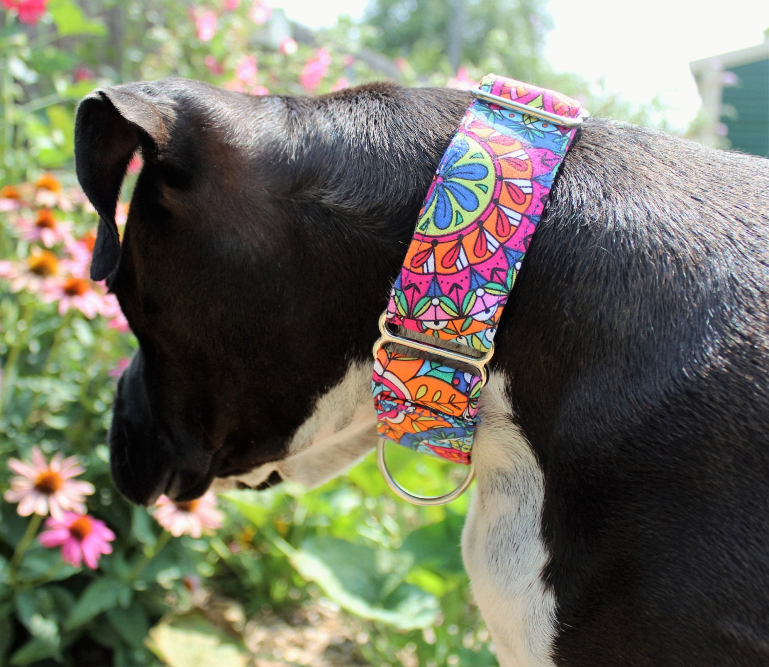 Beautiful flowered thick dog collar wide by PittyCoatsCollarCo