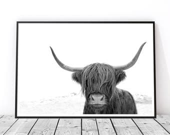 Wall Art Photography photography | etsy Wall Art Photography photography | etsy